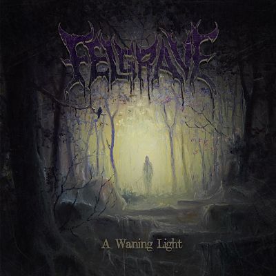 FELGRAVE - A Waning Light [CD]