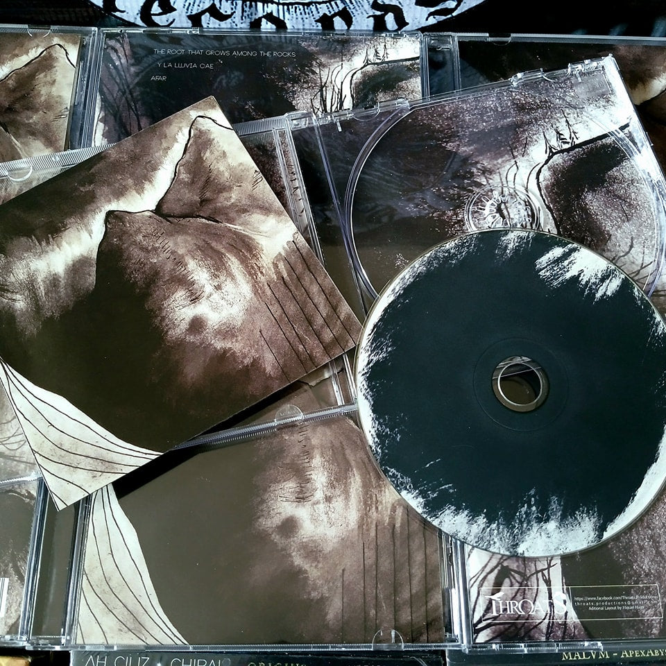 AN OPEN LETTER / SADNESS [CD]