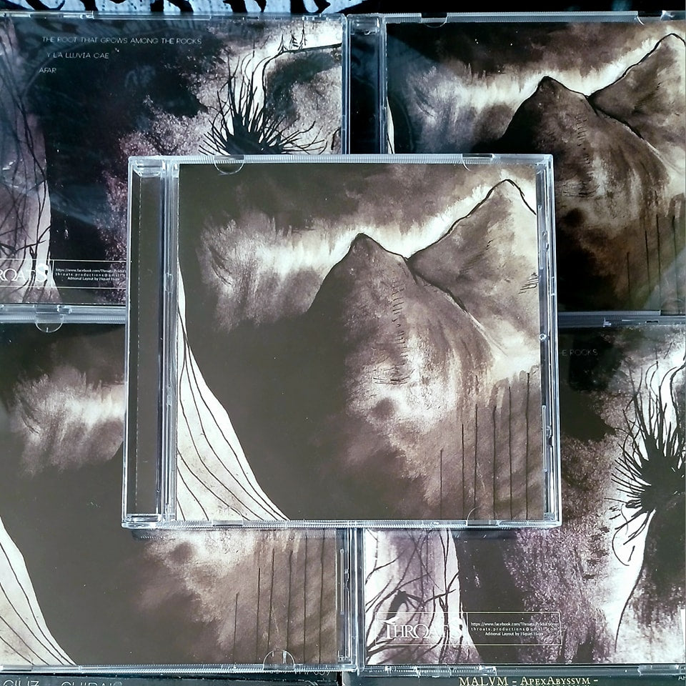 AN OPEN LETTER / SADNESS [CD]