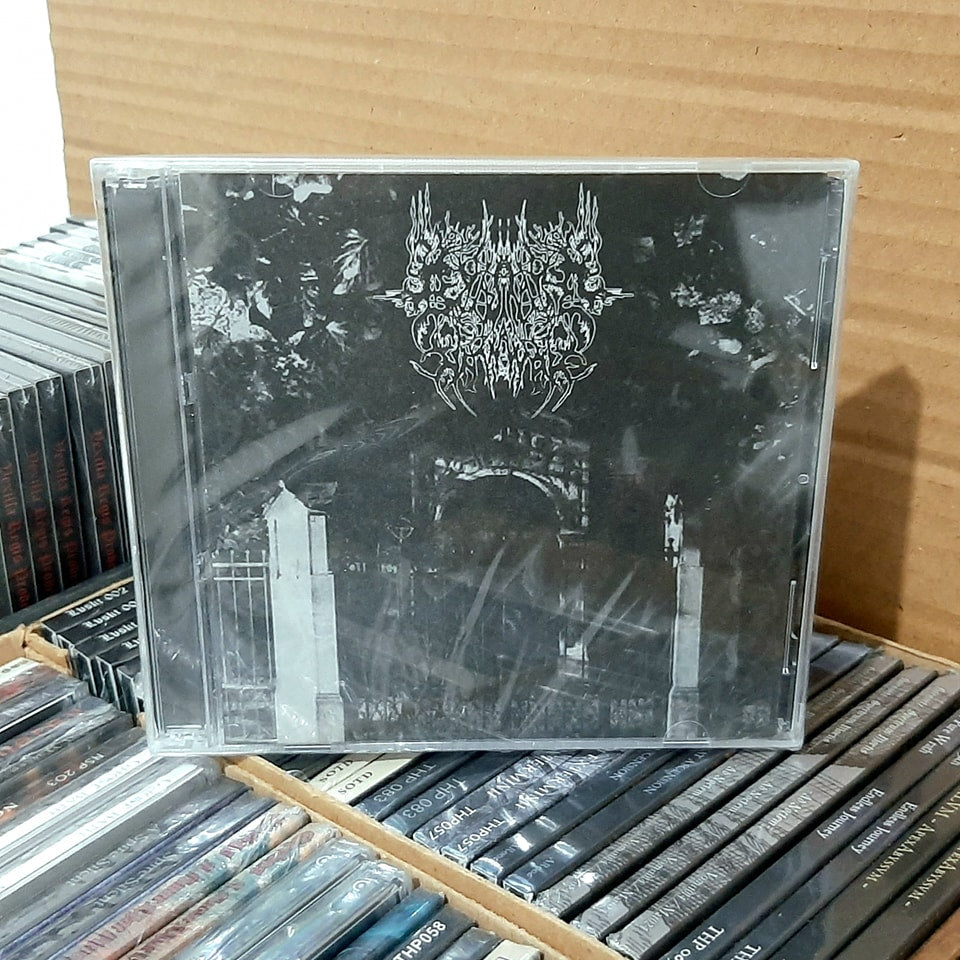 BEYOND THE NINTH WAVE - Compilación 2003-2007 [2CD]