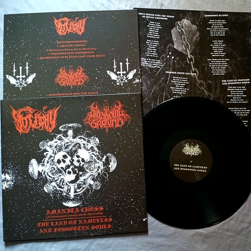 DO SKONU / SHADOWS GROUND - Amanita Cross / The land... [LP]