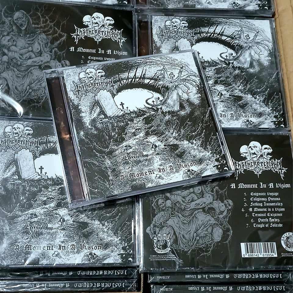 INSINERATEHYMN - A Moment in a Vision [CD]