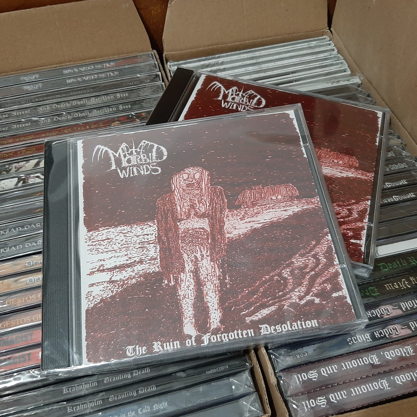 MORBID WIND - The Ruin Of Forgotten Desolation [CD]