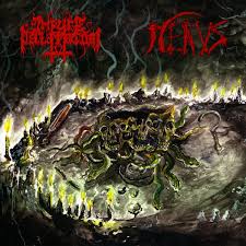 IMPURE DECLARATION / NEKUS - Malevolence Evocations [CD]
