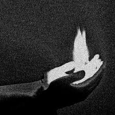 PROFANE CONGREGATION - Apocalyptic Visions [CD]