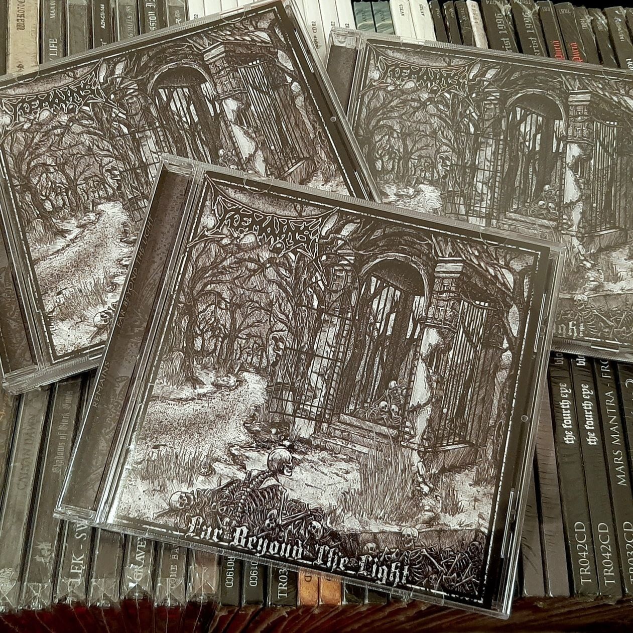 REMAINS - Far Beyond The Light [CD]