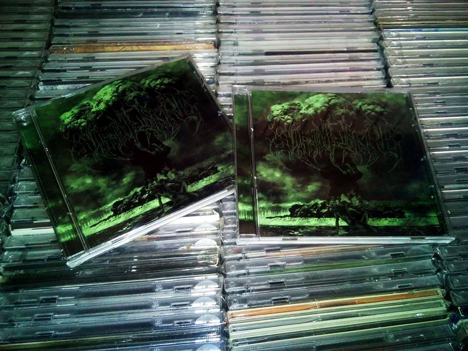 SIMULACRO - FALL OF THE LAST IDOL [CD]