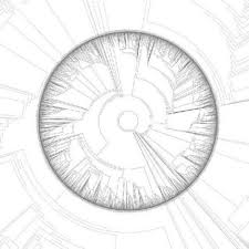 SELF-INFLICTED VIOLENCE - A Perception Of Matter And Energy [LP]