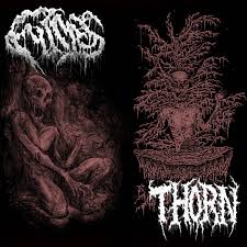 FUMES/THORN - Split Album [CD]