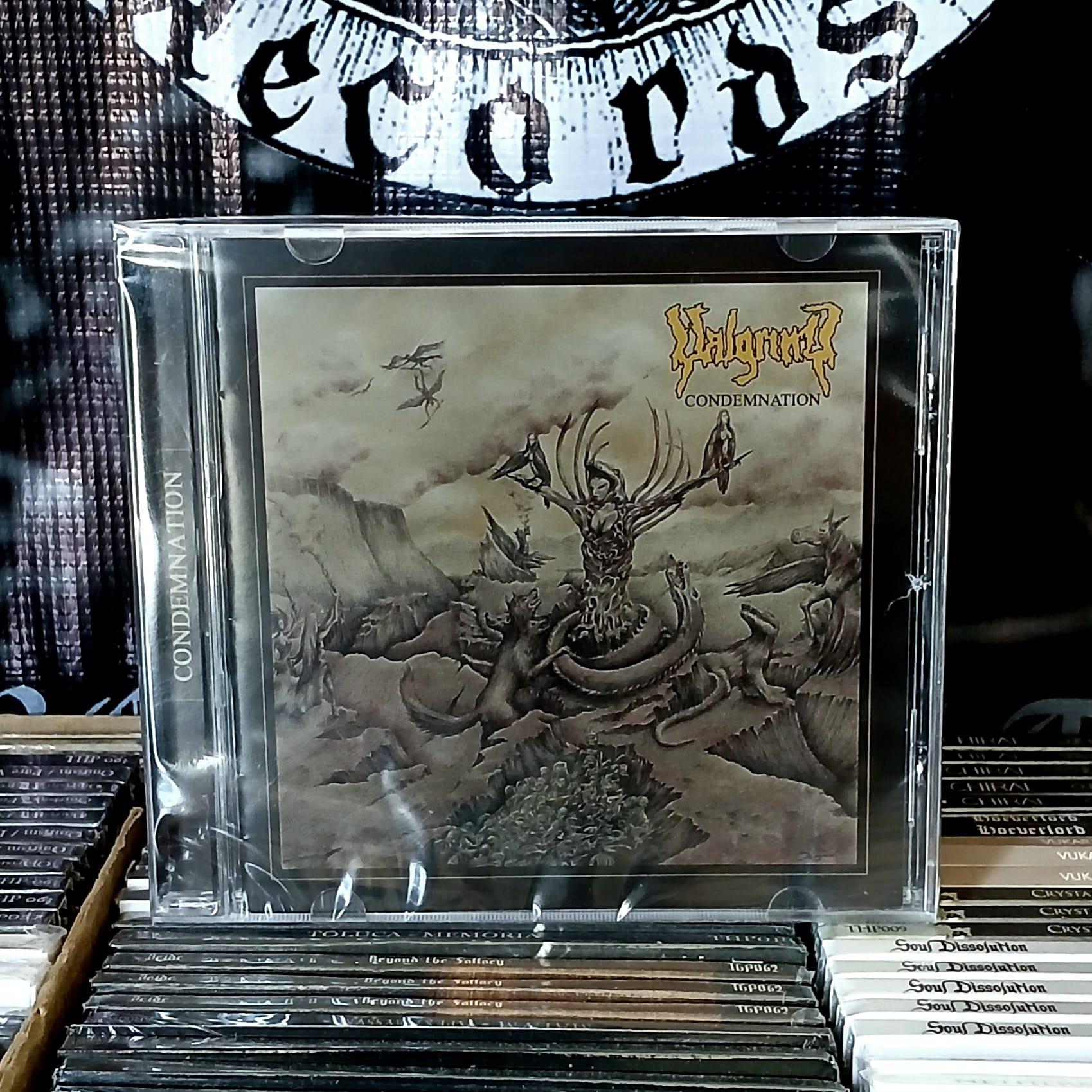 VALGRIND - Condemnation [CD]