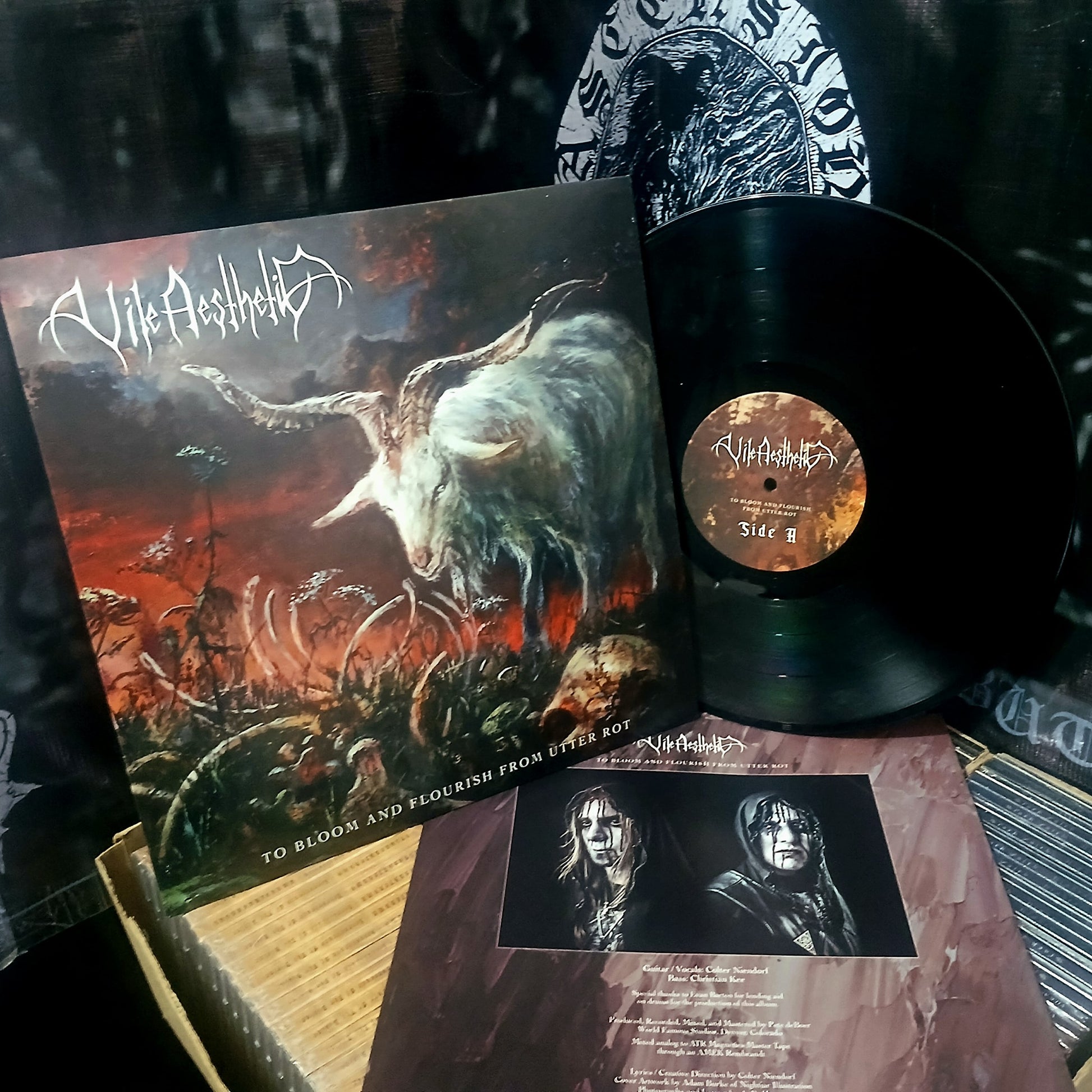 VILE AESTHETIC - To Bloom and Flourish from Utter Rot [LP]