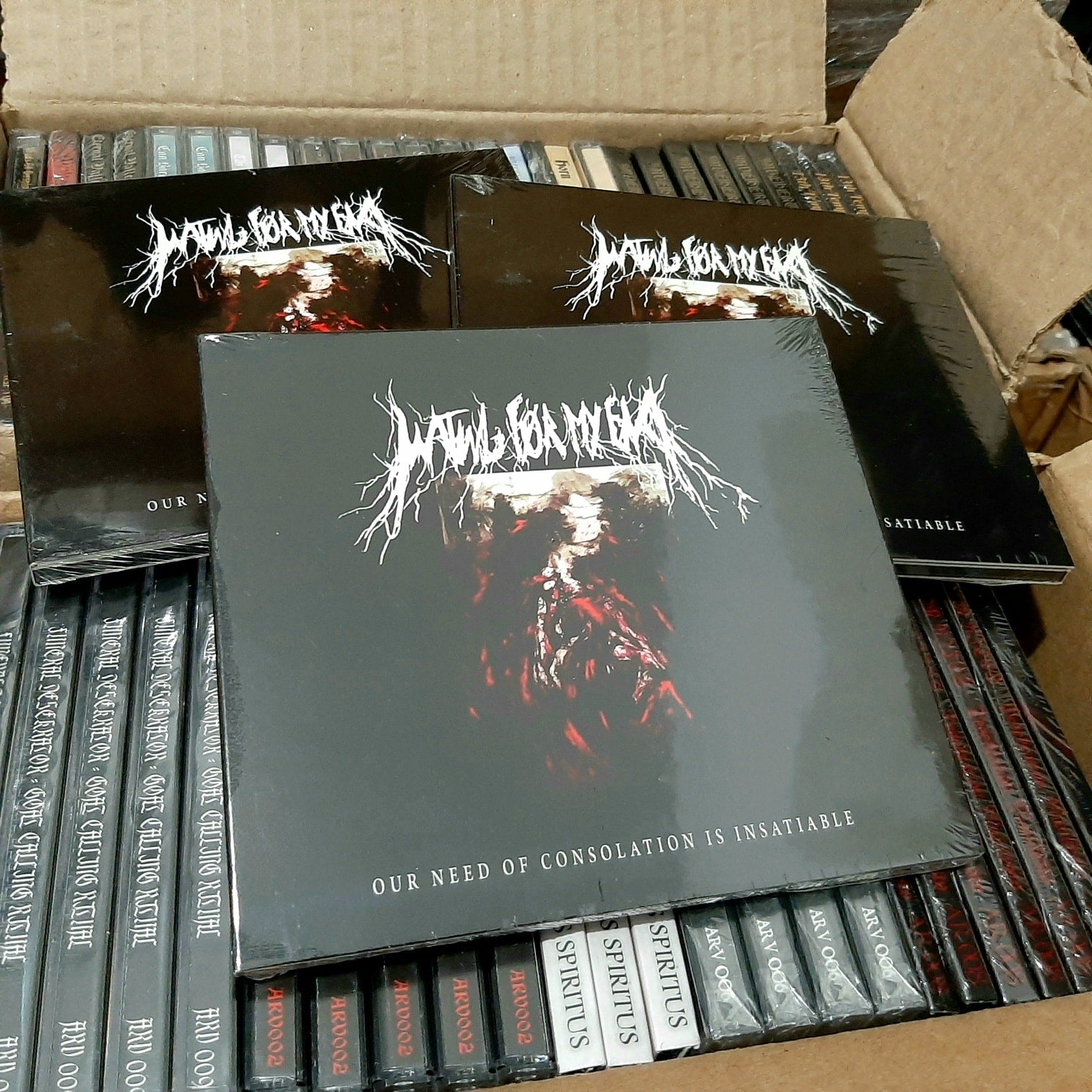 WAITING FOR MY END - Our Need of Consolation is Insatiable [DIGI CD]