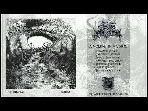 INSINERATEHYMN - A Moment in a Vision [CD]