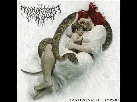 MANDRAGORA MALEVOLA - Awakening the Impvre [CD]