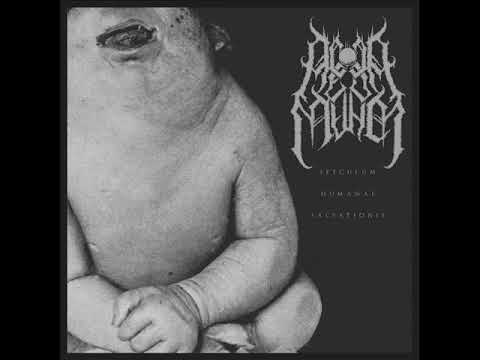 ACEDIA MUNDI - Speculum Humanae Salvationis [DIGI CD]